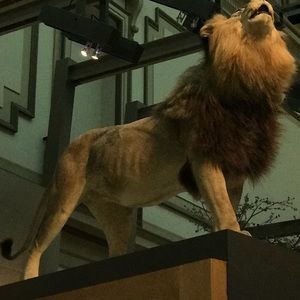 Meet your Posher, Paul